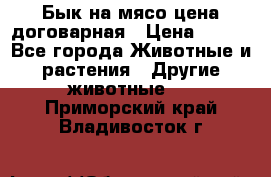 Бык на мясо цена договарная › Цена ­ 300 - Все города Животные и растения » Другие животные   . Приморский край,Владивосток г.